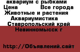 аквариум с рыбками › Цена ­ 1 000 - Все города Животные и растения » Аквариумистика   . Ставропольский край,Невинномысск г.